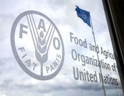 “الفاو”: أسعار الغذاء العالمية ارتفعت لمستوى قياسي في 2022