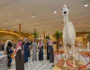 سفير الإمارات يشيد بتنظيم مهرجان الملك عبدالعزيز للإبل