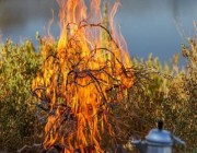 ضبط 18 مخالفًا لنظام البيئة لإشعالهم النار في المناطق المحمية وأراضي الغطاء النباتي