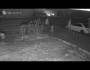 غزال شارد يُسقط شاباً في منطقة سكنية بولاية أوهايو