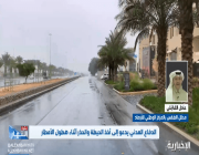 محلل طقس: استمرار هطول الأمطار على الرياض ومكة والمدينة وحائل (فيديو)
