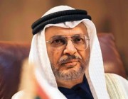 مستشار رئيس الإمارات: ستبقى الشقيقتان السعودية ومصر محور توجهاتنا ومواقفنا