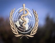 تحذيرات من مخاطر إقليمية وعالمية جرّاء تفشي التهاب السحايا في النيجر