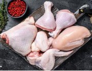 تجنب تناولها.. 4 أجزاء في الدجاج قد تسبب السرطان