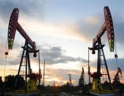 النفط ينهي الأسبوع على استقرار مع تراجع الصادرات الروسية