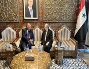 وزير الخارجية المصري يصل إلى سوريا