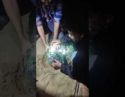 رجلان ينقذان كلباً حشر رأسه في وعاء بلاستيكي ببنغلاديش