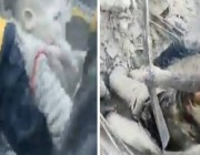 شاهد.. مقطع مؤثر لحظة إخراج أب متوفيا وابنه حياً بين أحضانه من أسفل أنقاض الزلزال المدمر في سوريا