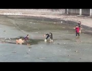 صينيون يخاطرون بحياتهم لإنقاذ طفل سقط في بحيرة متجمدة