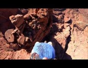 مظلي يحاول الهبوط على قمة جبل صخري بأمريكا