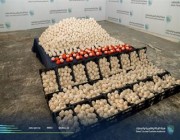 إحباط تهريب أكثر من 2 مليون حبة كبتاجون مُخبأة في إرسالية “طماطم ورمان”