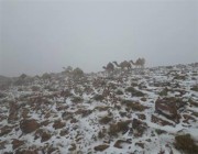 “جبل اللوز” يكتسي البياض بعد تساقط الثلوج