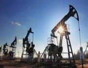 “منتدى الطاقة”: ارتفاع إنتاج وصادرات المملكة من النفط الخام خلال يناير
