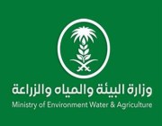 “البيئة” تتيح رخصة تصدير المنتجات المزروعة بمنطقة الدرع العربي