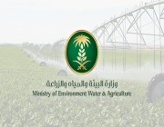 “البيئة” تتيح رخصة تصدير المنتجات المزروعة بمنطقة الدرع العربي
