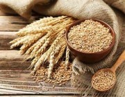 “سالك” تورّد 30% من احتياج المملكة من القمح في 2022