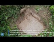 إنقاذ فيل سقط في بركة طينية جنوب غرب الصين