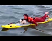 إنقاذ كلب من الغرق في المحيط الهادي