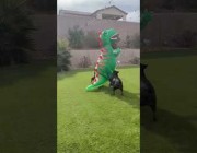 كلبان يهاجمان شخصاً متنكراً في زي تمساح بأمريكا