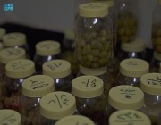مختبر أمانة الجوف ينجز أكثر من 1600 فحص للمنتجات المشاركة في مهرجان الزيتون الدولي