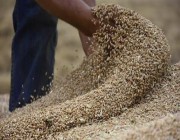 بولندا تحظر استيراد الحبوب والمنتجات الزراعية من أوكرانيا