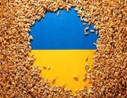 بعد بولندا.. المجر تحظر استيراد الحبوب الأوكرانية