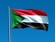وزير الخارجية المصري يؤكد ضرورة الحفاظ على مؤسسات الدولة في السودان ومنعها من الانهيار