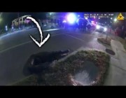 مواجهة في وسط الشارع بين شرطي وتمساح في فلوريدا