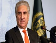 وزير الخارجية الباكستاني يتصل بنظيره الإماراتي