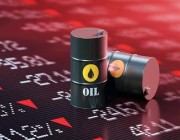 تراجع أسعار النفط بعد زيادة مفاجئة في مخزونات الخام الأمريكية