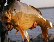 الحكم على أمريكيين بالسجن غشَّا في مسابقة محلية لصيد الأسماك