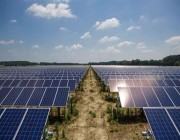 “الطاقة الدولية”: استثمارات الطاقة الشمسية ستتجاوز تمويل استخراج النفط لأول مرة هذا العام
