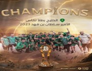 الخليج بطلاً لـ”كأس اتحاد اليد”