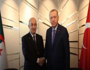 الرئيس الجزائري يهنئ أردوغان بفوزه بولاية جديدة من رئاسة تركيا