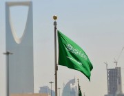25 جامعة سعودية ضمن التصنيف العالمي للجامعات المؤثرة في تحقيق أهداف الأمم المتحدة للتنمية المستدامة