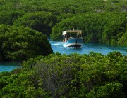  فيديو| منسق اللجنة السياحية بجزر فرسان: جزر فرسان قد تكون المكان الوحيد الذي يتفرد ببيئات متعددة