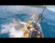 قرش يهاجم قارب صيد صغير في جزر هاواي الأميركية