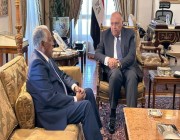 مصر تشدد على عدم التدخل الخارجي في أزمة السودان