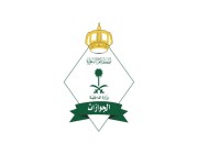 “الجوازات” تصدر 7 قرارات إدارية بإدانة مخالفين لأنظمة الحج لنقلهم أشخاصًا غير مصرّح لهم بالحج