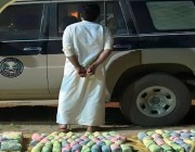 دوريات المجاهدين بمنطقة الرياض تقبض على مواطن لتهريبه نبات القات المخدر