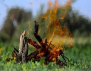 ضبط 8 مخالفين لنظام البيئة أشعلوا النار في مناطق محمية