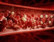 7 مسببات لفرط شحميات الدم .. تعرَّف عليها