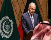 أمين جامعة الدول العربية يرحب برفع العلاقات بين مصر وتركيا لمستوى السفراء