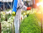 “البيئة” تعلنُ انتهاءَ مهلة السماح بتصريف كميات المبيدات المتداولة بالأسواق