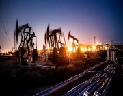الجزائر: تخفيض إنتاج النفط 20 ألف برميل أخرى لدعم جهود السعودية لتحقيق استقرار الأسواق