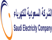 «السعودية للكهرباء» عن خطة موسم الحج التشغيلية: لا انقطاعات مؤثرة ولا حالات طارئة