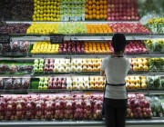 “الفاو”: انخفاض أسعار الغذاء العالمية مرة أخرى في يونيو