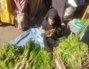 بعمر الـ 89 عاما.. مسنة مصرية تستيقظ فجرا لبيع الخضروات في الشارع