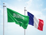 بيان مشترك بين السعودية وفرنسا بشأن التعاون في مجال الطاقة