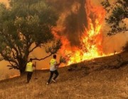 الرياح تشعل النيران في الغابات على الحدود “الإسبانية – الفرنسية”